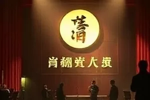 自然纪录《城市观鸟记》楼顶观鸟场景